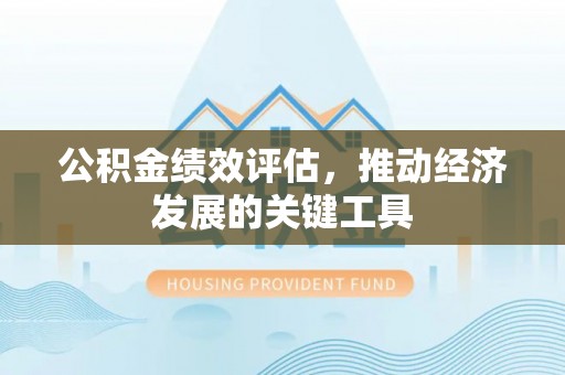 凌云公积金绩效评估，推动经济发展的关键工具