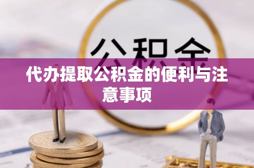 凌云代办提取公积金的便利与注意事项