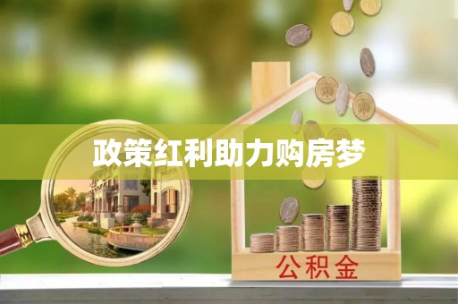 凌云政策红利助力购房梦