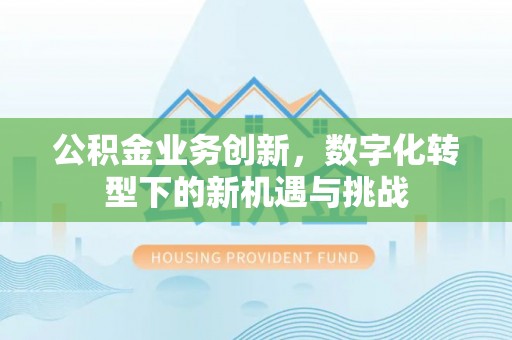 凌云公积金业务创新，数字化转型下的新机遇与挑战