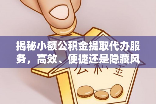 凌云揭秘小额公积金提取代办服务，高效、便捷还是隐藏风险？