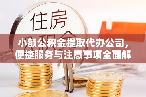 凌云小额公积金提取代办公司，便捷服务与注意事项全面解析