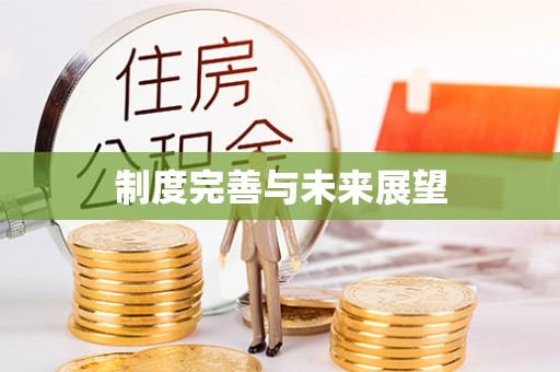 凌云制度完善与未来展望
