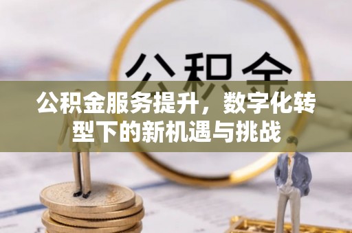 凌云公积金服务提升，数字化转型下的新机遇与挑战