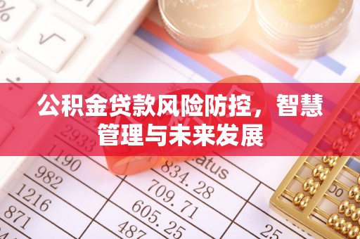凌云公积金贷款风险防控，智慧管理与未来发展