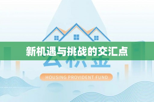 凌云新机遇与挑战的交汇点