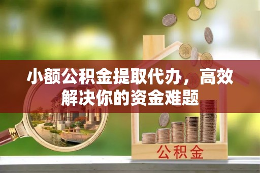 凌云小额公积金提取代办，高效解决你的资金难题
