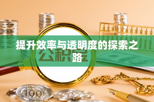 凌云提升效率与透明度的探索之路