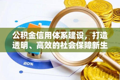 凌云公积金信用体系建设，打造透明、高效的社会保障新生态
