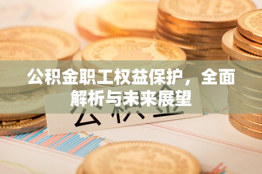 凌云公积金职工权益保护，全面解析与未来展望