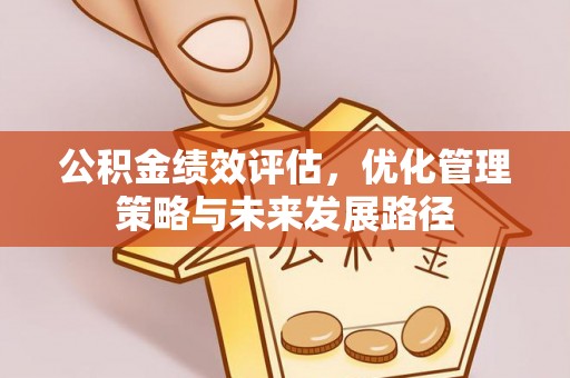 凌云公积金绩效评估，优化管理策略与未来发展路径