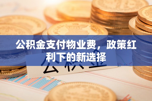 凌云公积金支付物业费，政策红利下的新选择