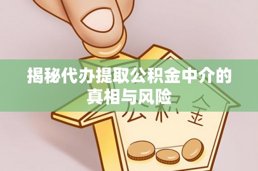 凌云揭秘代办提取公积金中介的真相与风险