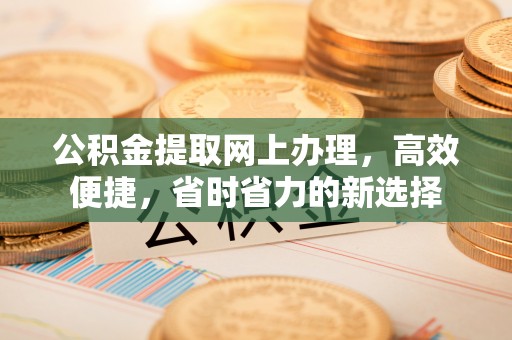 凌云公积金提取网上办理，高效便捷，省时省力的新选择
