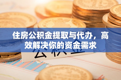 凌云住房公积金提取与代办，高效解决你的资金需求