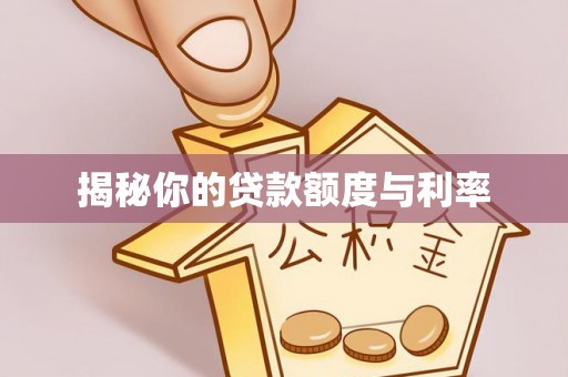 凌云揭秘你的贷款额度与利率