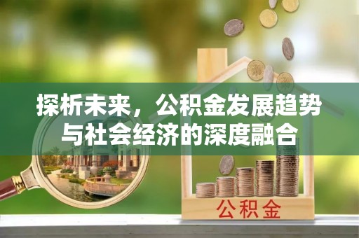 凌云探析未来，公积金发展趋势与社会经济的深度融合