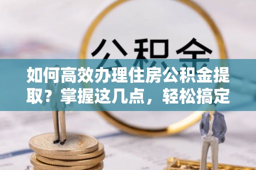 凌云如何高效办理住房公积金提取？掌握这几点，轻松搞定！