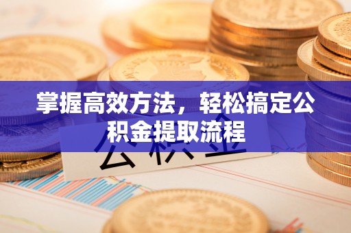 凌云掌握高效方法，轻松搞定公积金提取流程