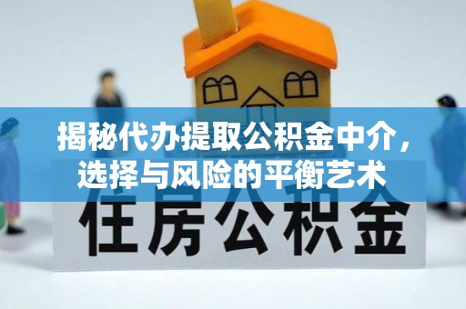 凌云揭秘代办提取公积金中介，选择与风险的平衡艺术