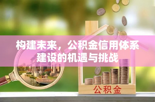 凌云构建未来，公积金信用体系建设的机遇与挑战
