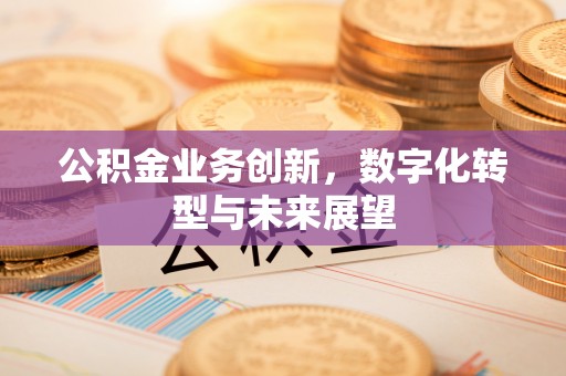 凌云公积金业务创新，数字化转型与未来展望
