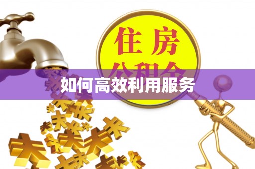 凌云如何高效利用服务