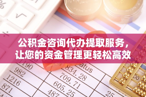 凌云公积金咨询代办提取服务，让您的资金管理更轻松高效