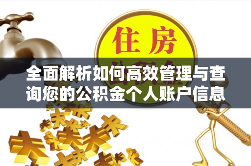 凌云全面解析如何高效管理与查询您的公积金个人账户信息