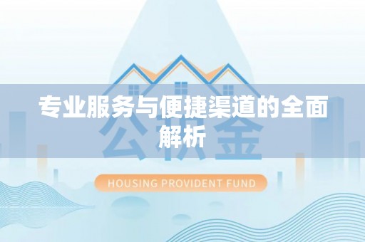 凌云专业服务与便捷渠道的全面解析