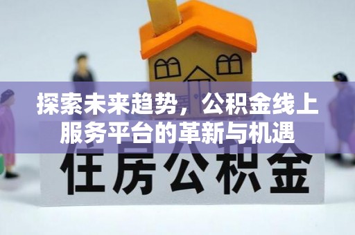 凌云探索未来趋势，公积金线上服务平台的革新与机遇