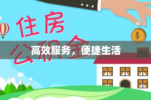 凌云高效服务，便捷生活
