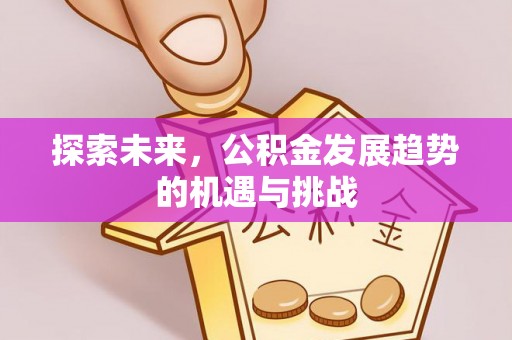 凌云探索未来，公积金发展趋势的机遇与挑战