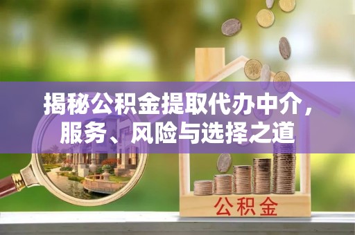 凌云揭秘公积金提取代办中介，服务、风险与选择之道