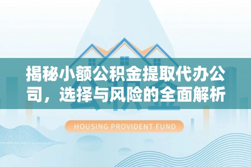 凌云揭秘小额公积金提取代办公司，选择与风险的全面解析