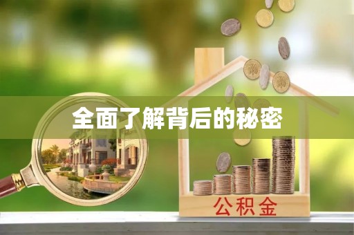凌云全面了解背后的秘密