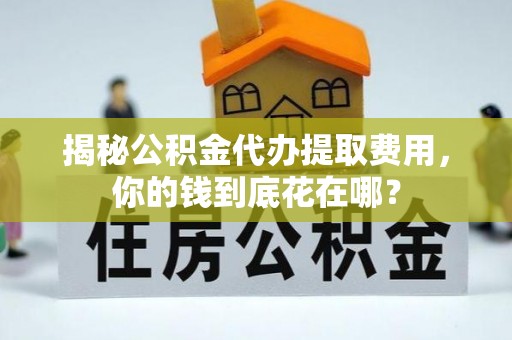 凌云揭秘公积金代办提取费用，你的钱到底花在哪？