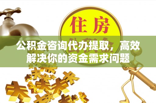 凌云公积金咨询代办提取，高效解决你的资金需求问题