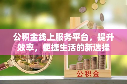 凌云公积金线上服务平台，提升效率，便捷生活的新选择