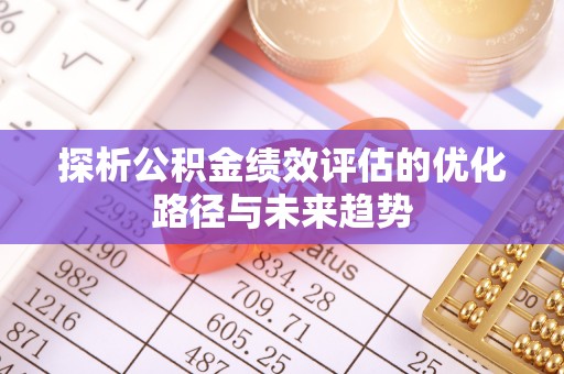 凌云探析公积金绩效评估的优化路径与未来趋势