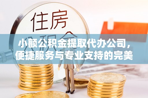 凌云小额公积金提取代办公司，便捷服务与专业支持的完美结合