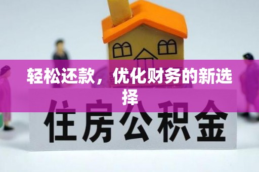 凌云轻松还款，优化财务的新选择