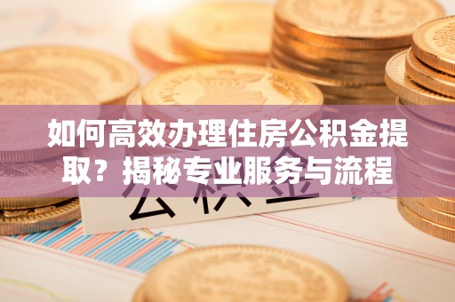 凌云如何高效办理住房公积金提取？揭秘专业服务与流程