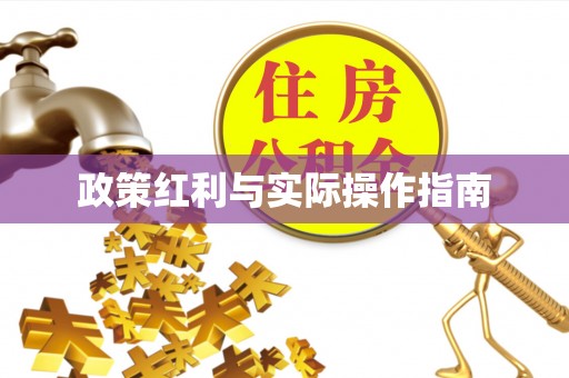 凌云政策红利与实际操作指南