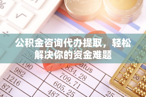 凌云公积金咨询代办提取，轻松解决你的资金难题
