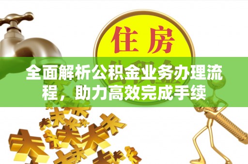 凌云全面解析公积金业务办理流程，助力高效完成手续