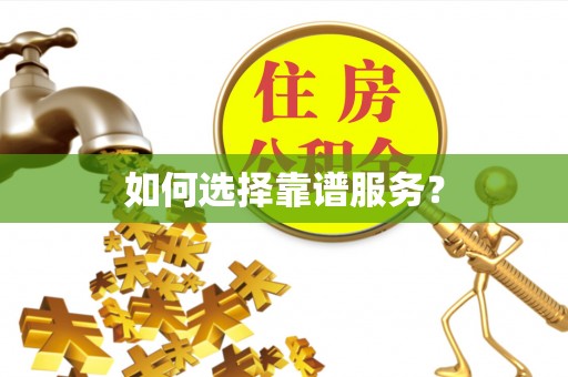凌云如何选择靠谱服务？
