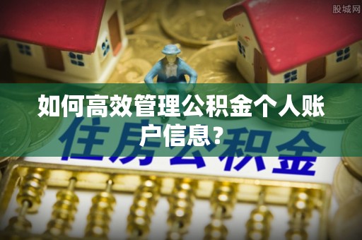 凌云如何高效管理公积金个人账户信息？