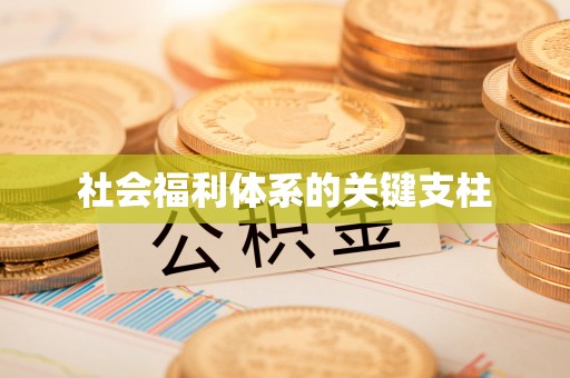 凌云社会福利体系的关键支柱