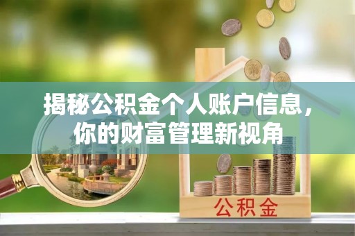 凌云揭秘公积金个人账户信息，你的财富管理新视角